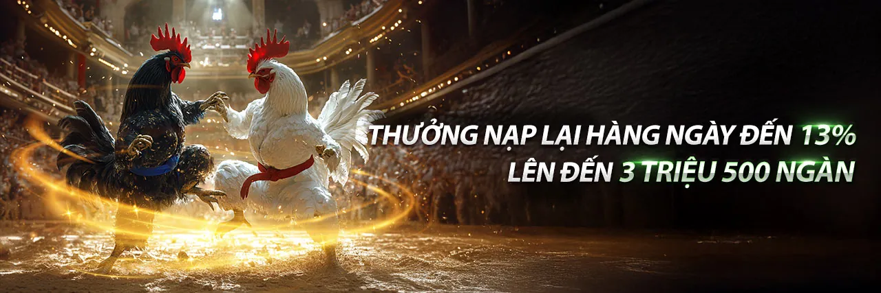 FD88 - Nền tảng giải trí trực tuyến hàng đầu